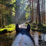 Vosges authentiques 4