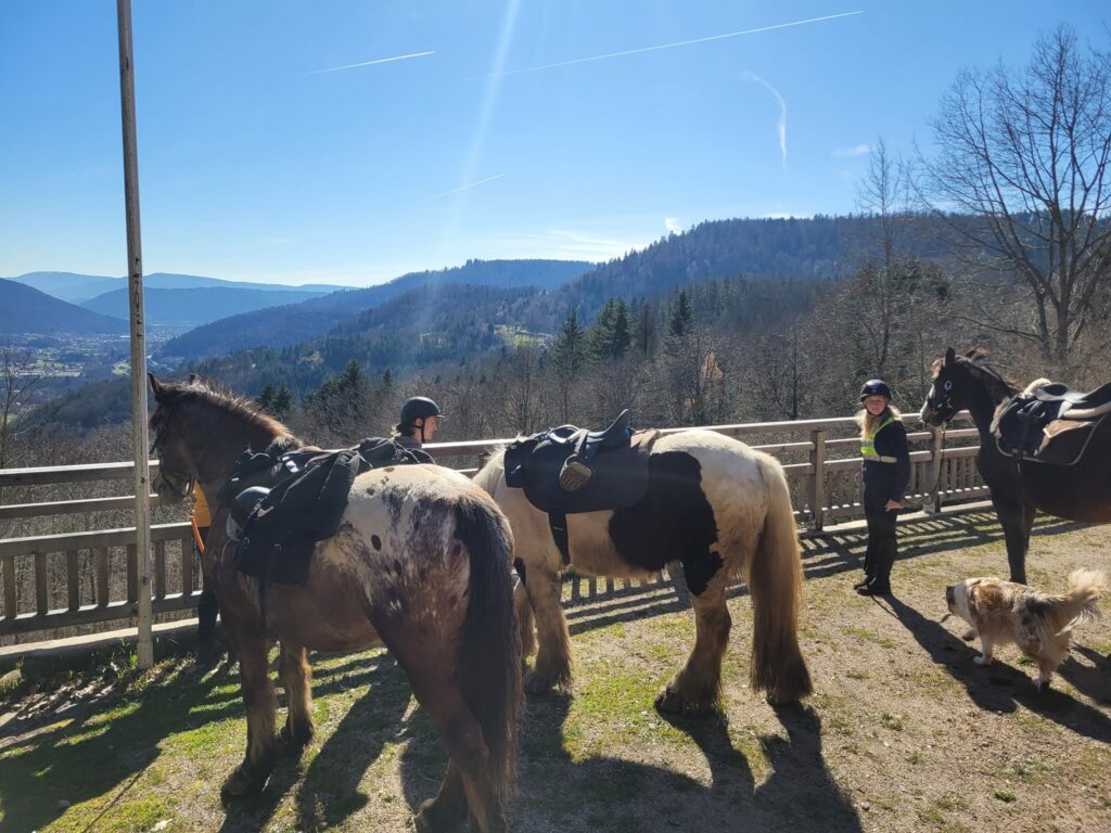 vosges authentiques 7